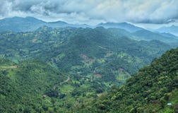 Araku valley & x28;India& x29; stock images Araku valley & x28;India& x29; stock images