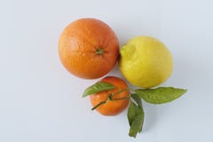 Arancia Mediterranea, limone e mandarino immagine stock libera da diritti Arancia Mediterranea, limone e mandarino immagine stock libera da diritti