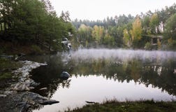 read Zur Organisation des Gründungserfolgs: Eine organisationstheoretische Untersuchung des Erfolgs neu gegründeter