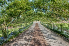 Arbor At Point Defiance Stock Photography Arbor At Point Defiance Stock Photography