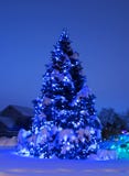 Arbre avec des lumières de Noël dans le bleu photographie stock Arbre avec des lumières de Noël dans le bleu photographie stock
