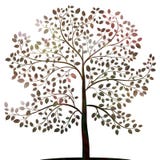 Arbre avec la silhouette de feuilles sur le vecteur blanc illustration stock Arbre avec la silhouette de feuilles sur le vecteur blanc illustration stock