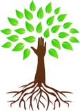 Arbre de main avec des racines illustration de vecteur Arbre de main avec des racines illustration de vecteur
