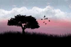 Arbre et oiseaux silhouettés Photographie stock libre de droits Arbre et oiseaux silhouettés Photographie stock libre de droits