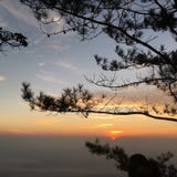 Arbre et vue photo stock Arbre et vue photo stock