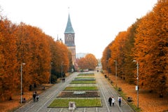 Arbres d'automne en parc image stock Arbres d'automne en parc image stock