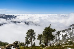 Arbres à feuilles persistantes hauts sur la montagne ; mer des nuages blancs à l'arrière-plan couvrant la vallée, bâti San Antoni photos stock Arbres à feuilles persistantes hauts sur la montagne ; mer des nuages blancs à l'arrière-plan couvrant la vallée, bâti San Antoni photos stock