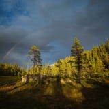 Arc-en-ciel au-dessus des forêts près de montagne de Jervfjellet, Norvège moyenne images libres de droits Arc-en-ciel au-dessus des forêts près de montagne de Jervfjellet, Norvège moyenne images libres de droits