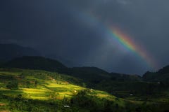 Arc-en-ciel au-dessus des riz-champs d'été images stock Arc-en-ciel au-dessus des riz-champs d'été images stock