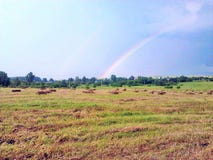 Arc-en-ciel dans le domaine après forte pluie photographie stock Arc-en-ciel dans le domaine après forte pluie photographie stock