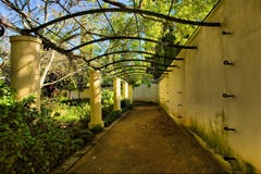 Arch With Corridor Covered By Vine Stock Images Arch With Corridor Covered By Vine Stock Images