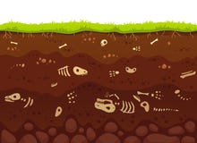 Archeology bones in soil layers. Buried fossil animals, dinosaur skeleton bone in dirt and underground clay layer vector royalty free illustration Archeology bones in soil layers. Buried fossil animals, dinosaur skeleton bone in dirt and underground clay layer vector royalty free illustration