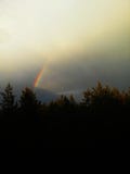 Arco iris en cielo nublado sobre el bosque imagen de archivo Arco iris en cielo nublado sobre el bosque imagen de archivo