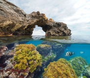 Arco naturale di formazione rocciosa con le alghe ed il pesce subacquei fotografie stock Arco naturale di formazione rocciosa con le alghe ed il pesce subacquei fotografie stock