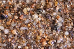 Areia molhada do mar ou seixos minúsculos, vista macro imagens de stock Areia molhada do mar ou seixos minúsculos, vista macro imagens de stock