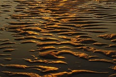 Areia molhada Rippling na luz solar da noite fotografia de stock royalty free Areia molhada Rippling na luz solar da noite fotografia de stock royalty free