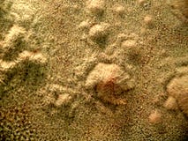 Arena mullida producida por la superficie vibrante Fondo abstracto que parecer las dunas de arena de otro planeta fotografía de archivo Arena mullida producida por la superficie vibrante Fondo abstracto que parecer las dunas de arena de otro planeta fotografía de archivo