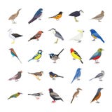Birds Flat Vector Icons Set royalty free illustration Birds Flat Vector Icons Set royalty free illustration