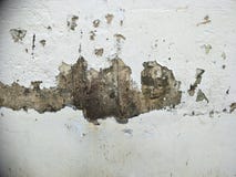 Arkitekt av den gamla staden arkivbild Arkitekt av den gamla staden arkivbild