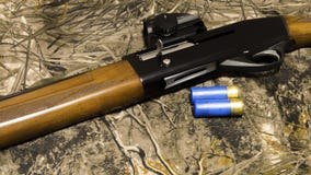 Armas e munição para caçar foto de stock Armas e munição para caçar foto de stock