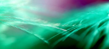 Armonia nel verde, in blu e nella porpora con le piume immagini stock libere da diritti Armonia nel verde, in blu e nella porpora con le piume immagini stock libere da diritti