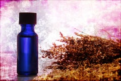 aromatherapy butelki istotnego ekstrakta lawendowy olej fotografia stock aromatherapy butelki istotnego ekstrakta lawendowy olej fotografia stock
