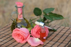 Aromatherapy Essential Oil Royalty Free Stock Photography Aromatherapy Essential Oil Royalty Free Stock Photography