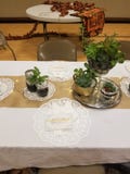Arrangement succulent de Tableau images stock Arrangement succulent de Tableau images stock