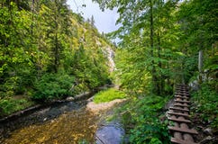 Arrástrese a lo largo del río de Hornad, paraíso eslovaco foto de archivo Arrástrese a lo largo del río de Hornad, paraíso eslovaco foto de archivo