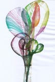 Art Abstract Flowers illustrazione di stock Art Abstract Flowers illustrazione di stock