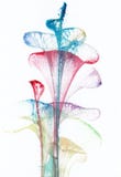Art Abstract Flowers. Royalty Free Stock Photos