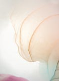 ART abstrait d'oc?an Luxe naturel Le style incorpore les remous du marbre ou des ondulations de l'agate Peinture rouge tr?s belle illustration de vecteur ART abstrait d'oc?an Luxe naturel Le style incorpore les remous du marbre ou des ondulations de l'agate Peinture rouge tr?s belle illustration de vecteur