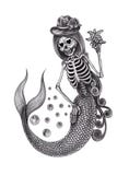 Art Skull Mermaid. Royalty Free Stock Images
