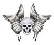 Art Wings Skull Tattoo. Royalty Free Stock Photos