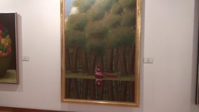 Arte finala, pinturas, exibições do museu vídeos de arquivo Arte finala, pinturas, exibições do museu vídeos de arquivo