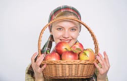 Artgriff-Apfels des M?dcheng?rtners wei?er Hintergrund des rustikalen Gesundheitswesen und Vitaminnahrung Vollkommener Apfel Gemi stockbild Artgriff-Apfels des M?dcheng?rtners wei?er Hintergrund des rustikalen Gesundheitswesen und Vitaminnahrung Vollkommener Apfel Gemi stockbild