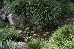 Artificial Creek Royalty Free Stock Photos Artificial Creek Royalty Free Stock Photos