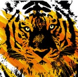 Artistic Tiger Face Royalty Free Stock Photo