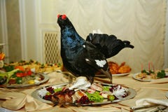 Artistically decorated with stuffed hunting birds capercaillie dish is a delicacy from the chef - a dish of venison. royalty free stock image Artistically decorated with stuffed hunting birds capercaillie dish is a delicacy from the chef - a dish of venison. royalty free stock image