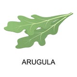 Arugula icon, isometric style royalty free illustration Arugula icon, isometric style royalty free illustration