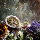 arvense filiżanki equisetum ostrości szklanej ziołowej horsetail infuzi naturopathy selekcyjna herbata obraz royalty free arvense filiżanki equisetum ostrości szklanej ziołowej horsetail infuzi naturopathy selekcyjna herbata obraz royalty free