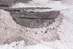 Arywiści ćwiczy crevasse ratuneku na wysokogórskim lodowu w lecie obrazy royalty free Arywiści ćwiczy crevasse ratuneku na wysokogórskim lodowu w lecie obrazy royalty free