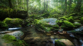 As cachoeiras no norte de Tailândia são cobertas com o musgo e as plantas Cachoeira bonita na floresta tropical imagens de stock As cachoeiras no norte de Tailândia são cobertas com o musgo e as plantas Cachoeira bonita na floresta tropical imagens de stock