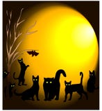 As caminhadas de gato preto na noite com o voo da lua engrenam ilustração stock As caminhadas de gato preto na noite com o voo da lua engrenam ilustração stock
