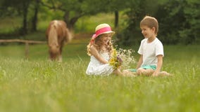 As crianças pequenas estão sentando-se no gramado, a menina têm um ramalhete das flores em suas mãos Movimento lento video estoque As crianças pequenas estão sentando-se no gramado, a menina têm um ramalhete das flores em suas mãos Movimento lento video estoque