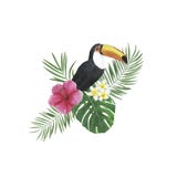 As decorações botânicas da mola da ilustração do quadro da aquarela das folhas das flores dos trópicos projetam convites dos cart fotos de stock As decorações botânicas da mola da ilustração do quadro da aquarela das folhas das flores dos trópicos projetam convites dos cart fotos de stock