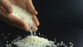As mãos fêmeas derramam a grão do arroz Movimento lento As mãos fêmeas derramam a grão do arroz Movimento lento