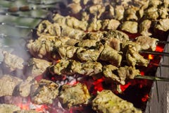 As partes apetitosas de carne posta de conserva com especiarias fritaram o no espeto sobre a fileira encarnado de carvões da gali imagens de stock As partes apetitosas de carne posta de conserva com especiarias fritaram o no espeto sobre a fileira encarnado de carvões da gali imagens de stock