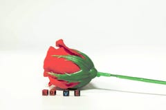 As rosas vermelhas e as palavras do amor são colocadas em um tampo da mesa branco imagens de stock royalty free As rosas vermelhas e as palavras do amor são colocadas em um tampo da mesa branco imagens de stock royalty free