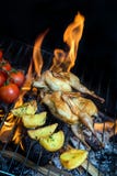 Asado a la parilla de las codornices de las aves de corral y de las verduras jugosas frescas en un restaurante Imagen de archivo libre de regalías